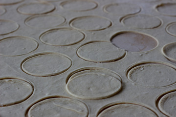 Dough rolled out in a pattern for preparation of ravioli or pelmeni. The rolled out dough. Rolled into a sausage dough. Flour dough for dumplings. Cooking dumplings