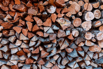 Schwarzwald Germany Baden-Württemberg Outdoor