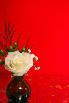 A fresh white rose flower and green hypericum berries in a small, round vase against a vivid red backrground, with copy space
