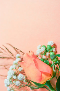 A peachy orange rose flower bud with white baby's breath (Gypsophila) and green hypericum berries against a peach-orange background, with copy space
