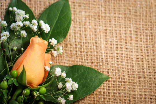 A peachy orange rose flower bud with white baby's breath (Gypsophila) and green hypericum berries against a burlap background, with copy space