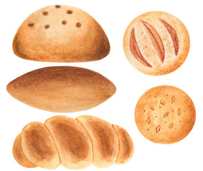 Watercolor bread, baguette, bun. Illustration for cartoon, paper, textile, decoration, gifts. Cafe elements.