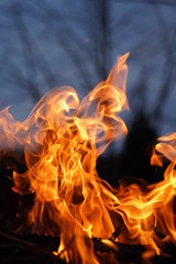 Fototapeta premium Wild Fire at a barbecue on great night