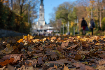 Autumn walk in the city park through the fallen yellow, orange, red and green leaves near the trees