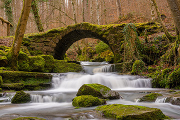 Idyllic little bridge made of old stones over a rushing stream in a green forest. 
