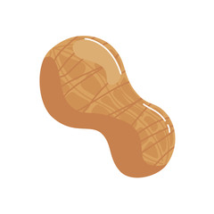 fresh peanut organic isolated icon vector illustration design
