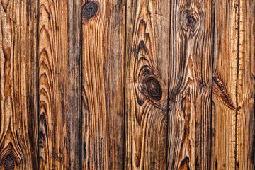 Obraz premium Background tree. Wood texture. Wood wall
