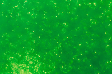 Light green background with sequins for design and copy space. St. Patrick's Day