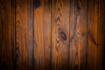 Obraz premium Background tree. Grunge wooden wall used as background, For background and texture.