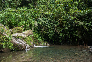 View of river in the rainforest, bogor Indonesia