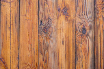 Background tree. Wood texture. Wood wall