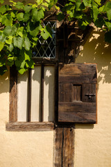 A rustic antique wooden window with shutter in yellow clay wall and green foliage above in a traditional Flemish style