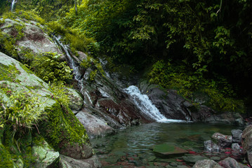View of river in the rainforest, bogor Indonesia