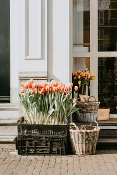 Tulips in front of entrance to flower shop in Amsterdam, Holland, The Netherlands. Spring flowers. Floral concept. Lifestyle.