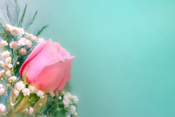 A fresh pink rose flower with white baby's breath (Gypsophila) and greenery against a solid, light...