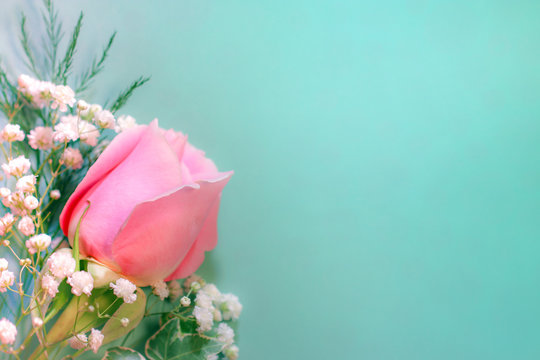 A fresh pink rose flower with white baby's breath (Gypsophila) and greenery against a solid, light green background, with copy space