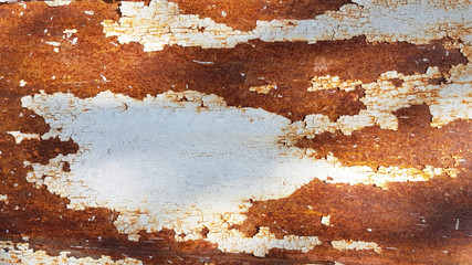 Photograph of a rusty steel door with peeling paint.