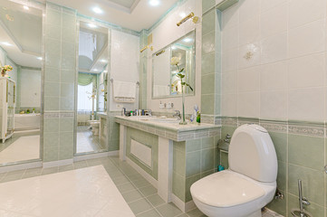 Russia, Moscow- November 04, 2019: interior room apartment modern bright cozy atmosphere. general cleaning, home decoration, bathroom, sink, decoration elements, toilet