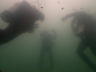 Diving Murky Water