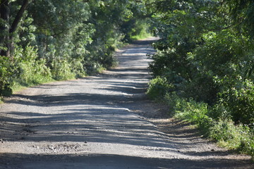 Dirt road going to the farm in rural village india 