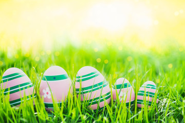 easter eggs in green grass