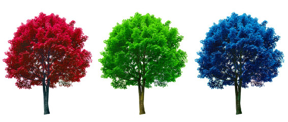 tree set in red, green and blue colors isolated on white background