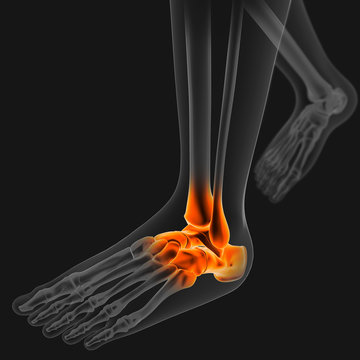 3D Illustration Ankle painful hunam skeleton medical concept Side Angle