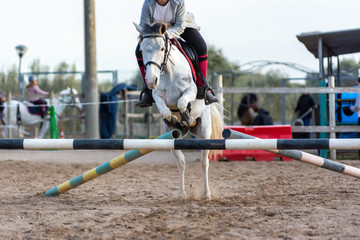 Horse jumping an obstacle during training session