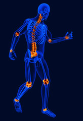 3D Illustration human skeleton anatomy for medical