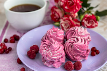 Fototapeta na wymiar berry healthy marshmallow dessert: purple spiral meringue with icing sugar