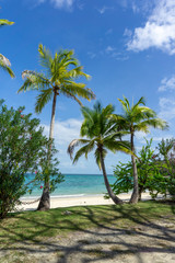 Fototapeta na wymiar Wreck tropical sandy beach (Playa Larga) with palm trees on Contadora island.