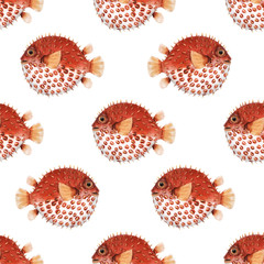 Beautiful seamless pattern with very cute watercolor hedgehog fishes. Stock illustration. Sea life wallpaper. Underwater marine background. © Zenina-Lembrik