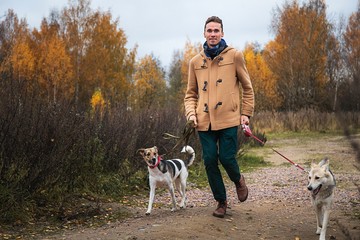 Man walking with dogs in nature in autumn park