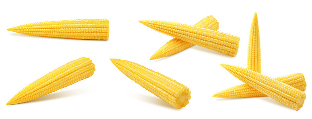 baby corn, isolated on white background, clipping path, full depth of field