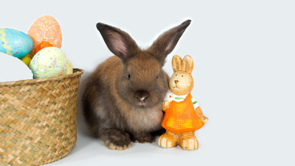 Cute little brown rabbit sitting next to basket full of pastel color Easter eggs and bunny doll. Isolated on white background.