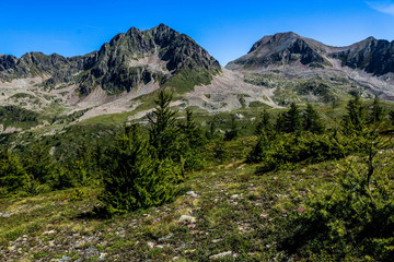 Naklejka premium Photos de nature, montagne et paysage