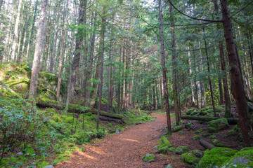 Obraz premium Cypress Falls to White Lake, サイプレス