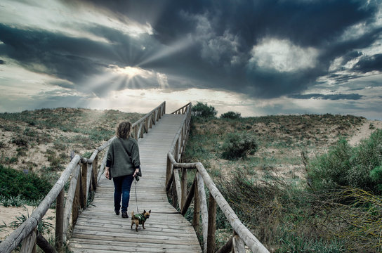 Caucasian woman walking with her chihuahua in a walkway with wooden planks in the Natural Park of Trafalgar Cape next to Canos Meca village, Barbate, Cadiz, Andalusia, Spain