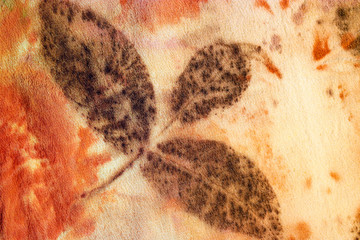 A dark leaf pattern on eco-printed silk