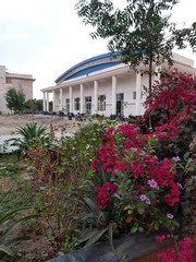 house with flowers and garden