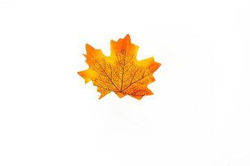 plastic artificial  maple leaf made from fabric isolated on white background