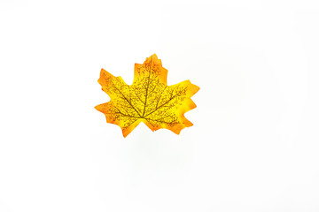 plastic artificial  maple leaf made from fabric isolated on white background