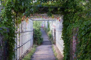 Plants line a footbridge in Bristol, England