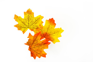 plastic artificial  maple leaf made from fabric isolated on white background