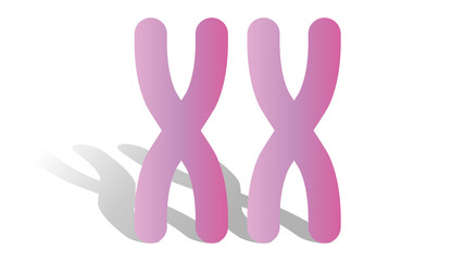 X chromosome icon. Feminism vector elements.  Feminism banner design