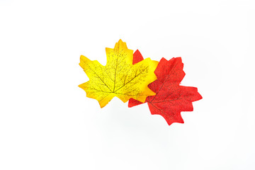 plastic artificial  maple leaf made from fabric isolated on white background