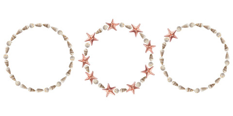 Naklejka premium White seashells and sea star round frames set on white background