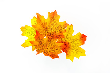 plastic artificial  maple leaf made from fabric isolated on white background