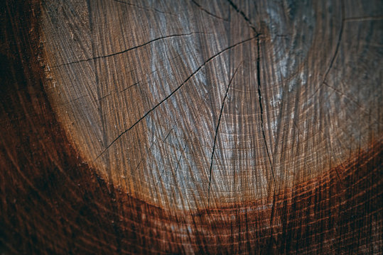 Wood background