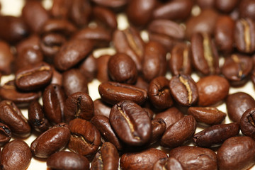 Macro shot of roasted coffee beans